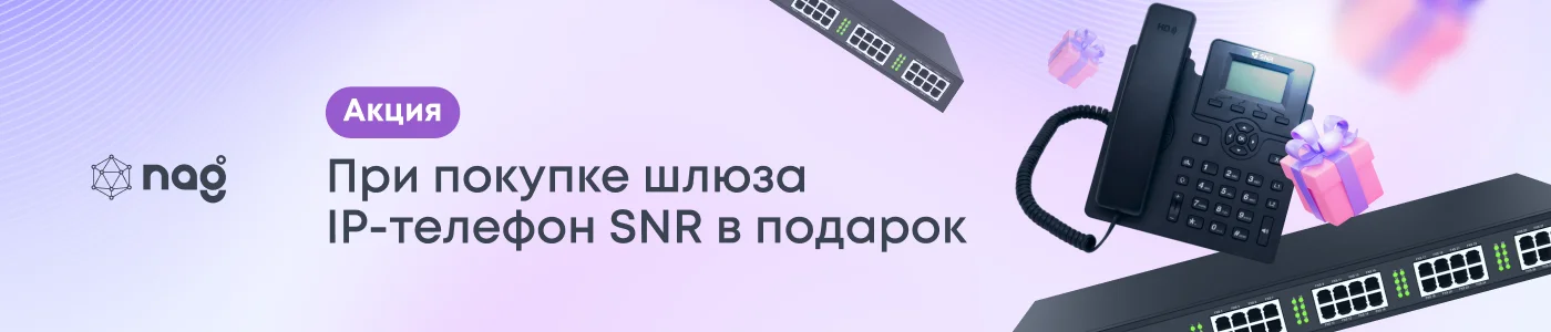 Акция "IP-телефон SNR в подарок"