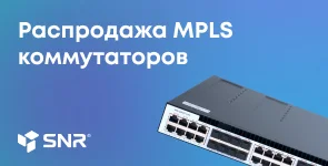 Switch. Распродажа MPLS коммутаторов SNR-S300G-24FX
