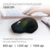Мышь Оклик 636LWC черный оптическая (1600dpi) беспроводная USB/USB-C для ноутбука (6but)