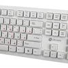 Клавиатура Оклик 505M белый USB slim