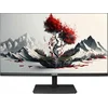 Монитор RDW Computers 23.8" RDW2401K черный IPS 4ms 16:9 HDMI M/M матовая HAS Piv 1000:1 300cd 178гр