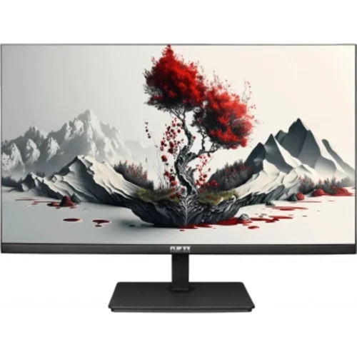 Монитор RDW Computers 23.8" RDW2401K черный IPS 4ms 16:9 HDMI M/M матовая HAS Piv 1000:1 300cd 178гр