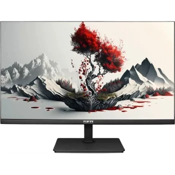Монитор RDW Computers 23.8" RDW2401K черный IPS 4ms 16:9 HDMI M/M матовая HAS Piv 1000:1 300cd 178гр