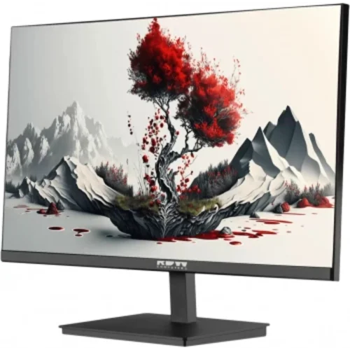 Монитор RDW Computers 23.8" RDW2401K черный IPS 4ms 16:9 HDMI M/M матовая HAS Piv 1000:1 300cd 178гр