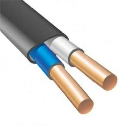 Кабель ВВГ-Пнг(А) 2х4 ок (N) 0.66кВ (м) Кабэкс ТХМ00214373
