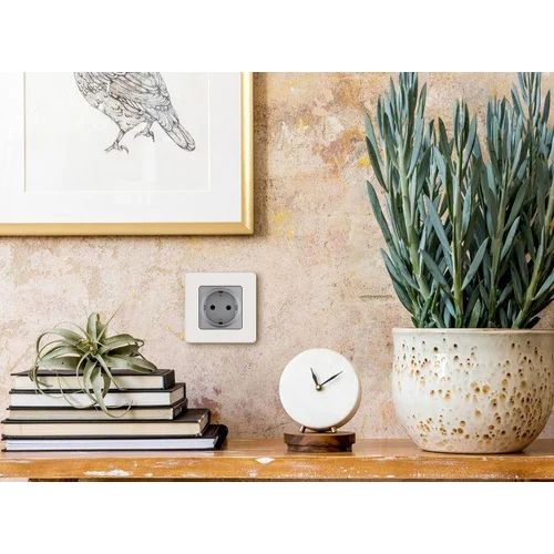 Розетка 1-м СП Inspiria 16А IP20 250В 2P+E немецк. стандарт механизм алюм. Leg 673722