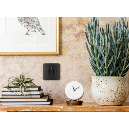 Розетка 1-м СП Inspiria 16А IP20 250В 2P+E немецк. стандарт механизм антрацит Leg 673723