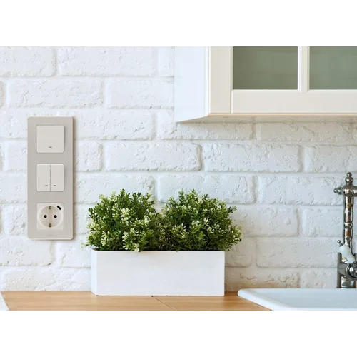 Розетка 1-м СП Inspiria 16А IP20 250В 2P+E немецк. стандарт с заряд. устройством USB тип C 1.5А 5В м