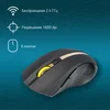 Мышь Оклик 495MW черный/золотистый оптическая (1600dpi) беспроводная USB для ноутбука (6but)