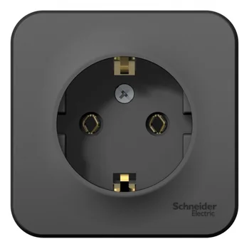 Розетка 1-м ОП Blanca 16А IP20 250В с заземл. без защ. шторок с изолир. пластиной антрацит SE BLNRA0