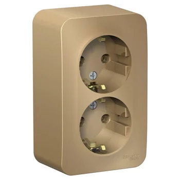 Розетка 2-м ОП Blanca 16А IP20 250В с заземл. без защ. шторок с изолир. пластиной титан SE BLNRA0102
