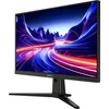 Монитор Dahua 24.5" DHI-LM25-E231B черный IPS LED 0.5ms 16:9 HDMI матовая 1000:1 300cd 178гр/178гр 1