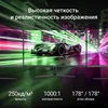 Монитор Digma 23.8" Progress 24P305F черный IPS LED 16:9 HDMI M/M матовая 250cd 178гр/178гр 1920x108