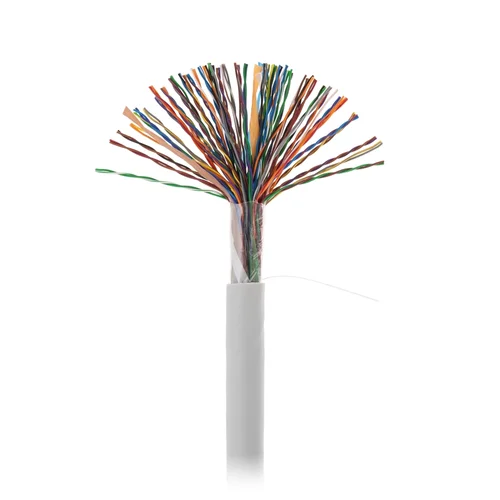Кабель NETLAN U/UTP 50 пар, Кат.5 (Класс D), 100МГц, одножильный, BC (чистая медь), внутренний, PVC нг(B), серый, 305м