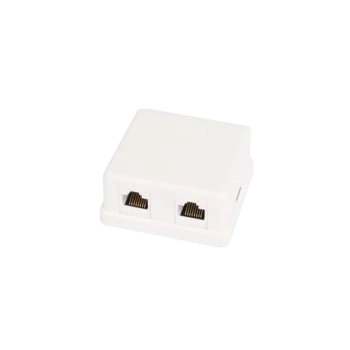 Настенная розетка NETLAN, 2 порта, Кат.5e (Класс D), 100МГц, RJ45/8P8C, 110, T568A/B, неэкранированная, белая, уп-ка 10шт.