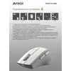 Мышь A4Tech Fstyler FG30 белый/серый оптическая (2000dpi) беспроводная USB (6but)