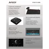 Клавиатура A4Tech Fstyler FK10 черный/синий USB