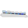 Клавиатура A4Tech Fstyler FS100 Neon механическая синий USB for gamer LED (FS100)