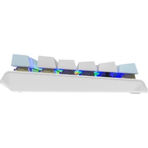 Клавиатура A4Tech Fstyler FS100 Neon механическая синий USB for gamer LED (FS100)