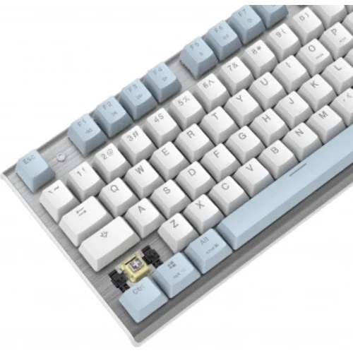 Клавиатура A4Tech Fstyler FS100 Neon механическая синий USB for gamer LED (FS100)