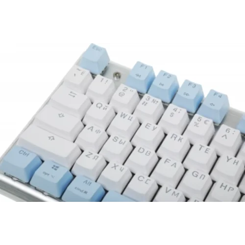 Клавиатура A4Tech Fstyler FS100 Neon механическая синий USB for gamer LED (FS100)