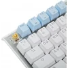 Клавиатура A4Tech Fstyler FS100 Neon механическая синий USB for gamer LED (FS100)