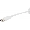 Клавиатура A4Tech Fstyler FS100 Neon механическая синий USB for gamer LED (FS100)