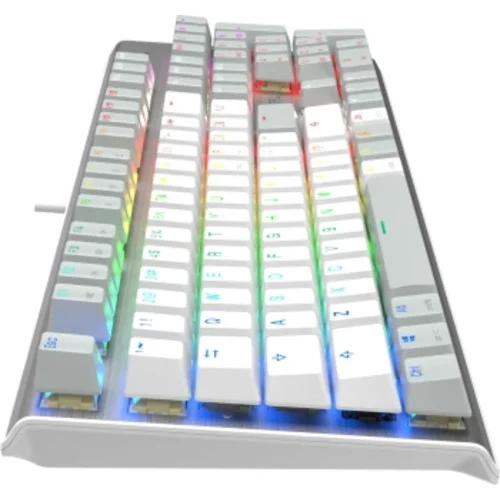 Клавиатура A4Tech Fstyler FS100 Neon механическая серый USB for gamer LED (FS100)