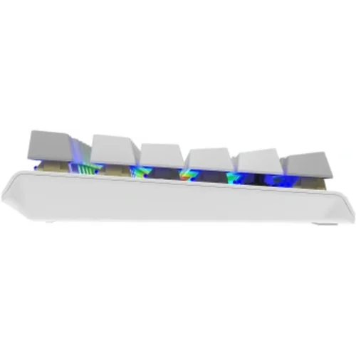 Клавиатура A4Tech Fstyler FS100 Neon механическая серый USB for gamer LED (FS100)