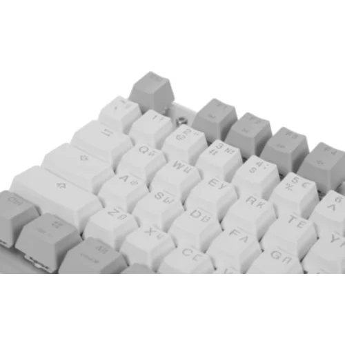 Клавиатура A4Tech Fstyler FS100 Neon механическая серый USB for gamer LED (FS100)