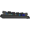 Клавиатура A4Tech Fstyler FS100 Neon механическая черный USB for gamer LED (FS100)