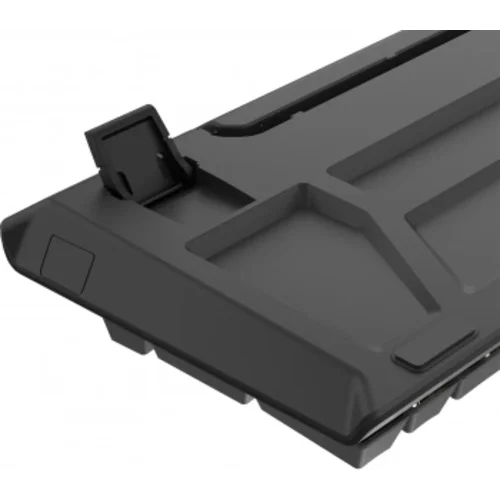 Клавиатура A4Tech Fstyler FS100 Neon механическая черный USB for gamer LED (FS100)