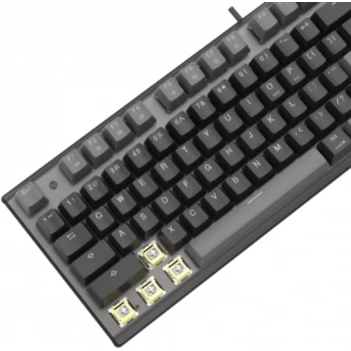 Клавиатура A4Tech Fstyler FS100 Neon механическая черный USB for gamer LED (FS100)