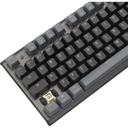 Клавиатура A4Tech Fstyler FS100 Neon механическая черный USB for gamer LED (FS100)