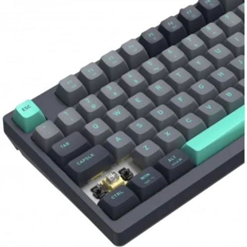 Клавиатура A4Tech Fstyler FS300 механическая черный/серый USB for gamer LED (FS300 PANDA ROCK)