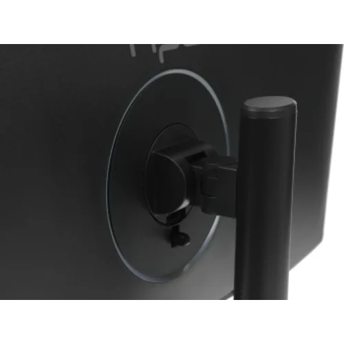 Монитор NPC 29" MZ300L черный IPS LED 21:9 (Ultrawide) HDMI M/M матовая HAS 1000:1 250cd 178гр/178гр