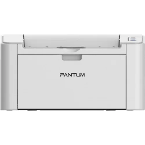 Принтер лазерный Pantum P2506W A4 WiFi серый