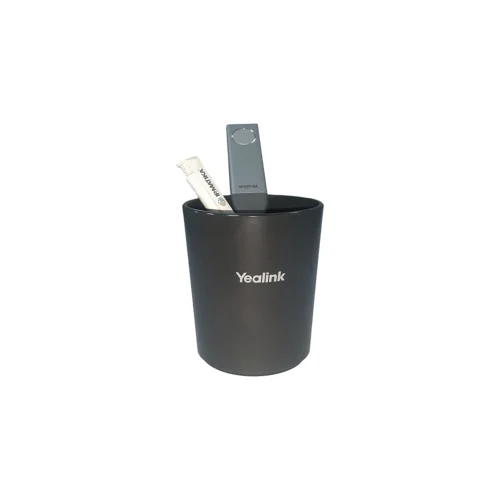 Система беспроводных презентаций RoomCast-011 (RoomCast, WPP30, AMS 2 года)