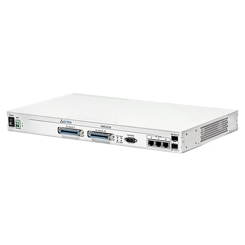 Шасси цифрового шлюза SMG-1016M: 4 слота для субмодулей C4Е1, 6 слотов для субмодулей SM-VP-M300, 2 слота для модулей питания PM160-220/12 и PM100-48/