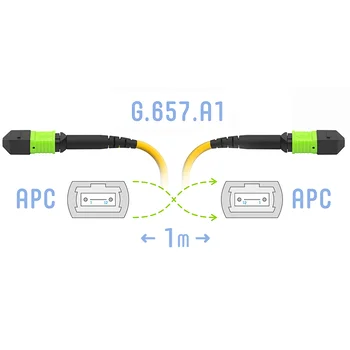 Патчкорд оптический MPO/APC FF SM G.657.A1, 24 волокна, 1 метр (Cross)