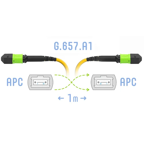 Патчкорд оптический MPO/APC FF SM G.657.A1, 24 волокна, 1 метр (Cross)
